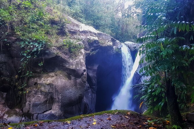 Full-Day Hiking Tour in Minca With Coffee & Cocoa Workshop - Good To Know