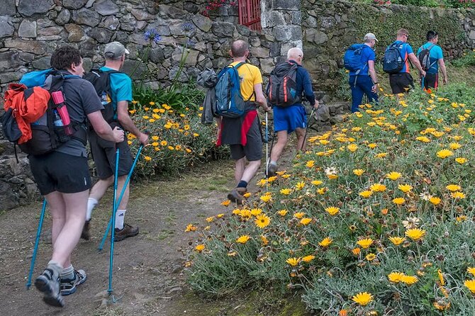 Full Day - Hiking Trail Ribeira Funda-Maia - Difficulty Level