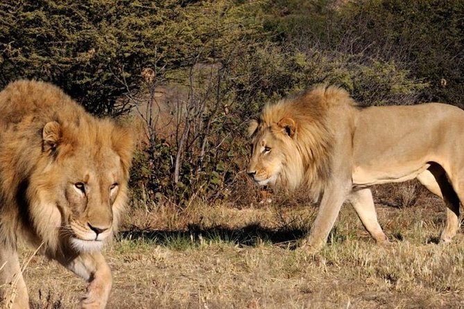 Full Day - Hluhluwe Imfolozi Game Reserve 1 Day Tour From Durban - Cancellation Policy for the Tour