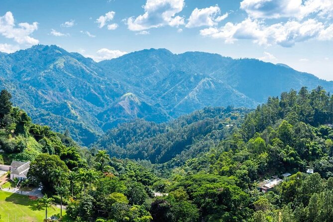 Full-Day Kingston and Blue Mountains Private Guided Tour - Pricing and Group Size