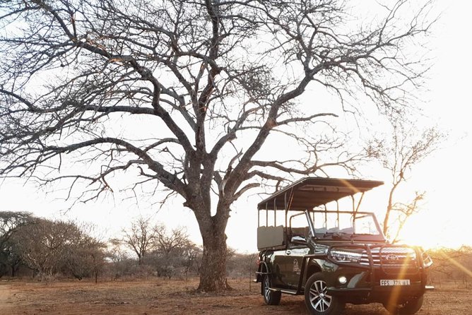 Full Day Kruger National Park - Guided Safari Tours