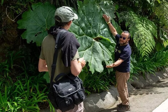 Full Day Poas Volcano, La Paz Waterfall Gardens and Coffee Plantation Experience - Tour Highlights