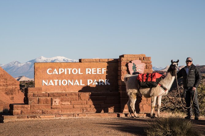 Full-Day Private Guided Llama Hikes - Whats Included
