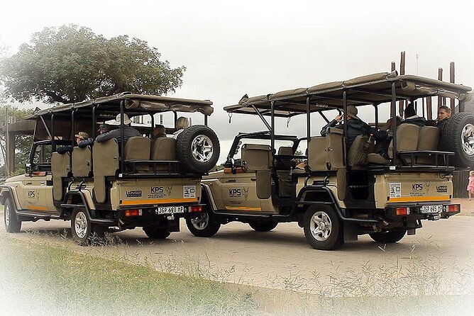 Full Day Private Kruger Park Safari - Vastness of Kruger National Park