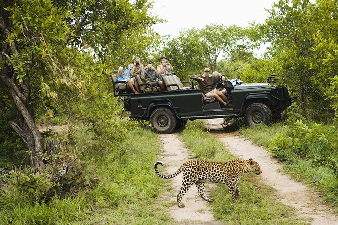 Full-Day Private Safari of Kruger National Park - Itinerary Overview