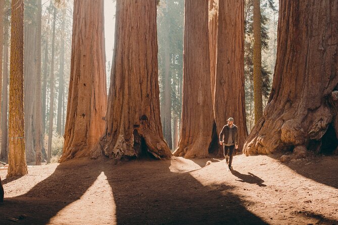 Full-Day Private Tour and Hike in Sequoia National Parks - Inclusions