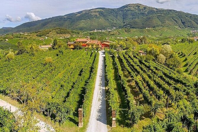 Full Day Prosecco Tasting. Private Tour. From Venice or Treviso - Tour Highlights