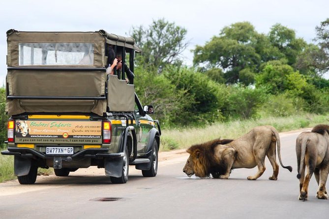 Full Day Safari - Kruger National Park - Full-Day Game Drive Details