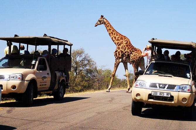 Full Day Safari Shared Tour at Kruger National Park - Meeting and Pickup Options