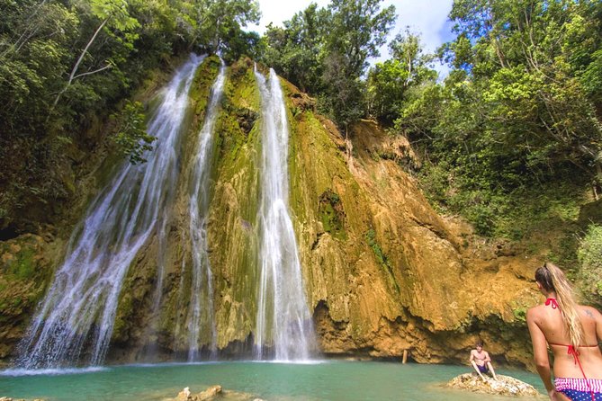 Full Day Samana Whales From Punta Cana With Waterfall, Bacardi Island & Lunch - Highlights of the Tour