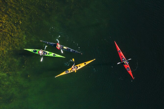 Full-Day Sea Kayaking Experience in Pargas - Trip Availability and Logistics