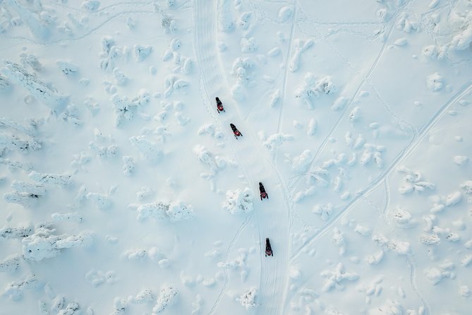 Full Day Snowmobile Safari Into the Lappish Wilderness in Rovaniemi - What To Expect
