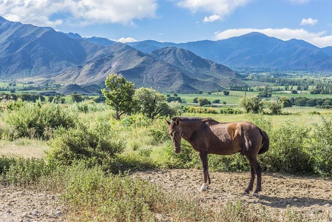 Full-Day Tour Cafayate Calchaqui Valleys With Wine - Tour Overview and Highlights
