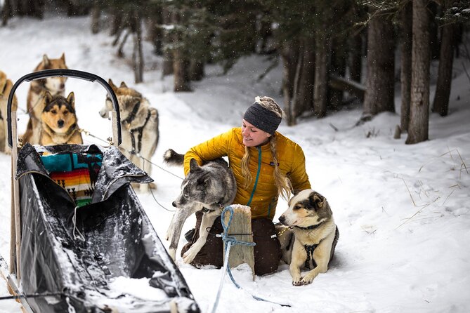 Full Day Tour in Lake Louise and Ice Field Parkway - Pickup and Meeting Information