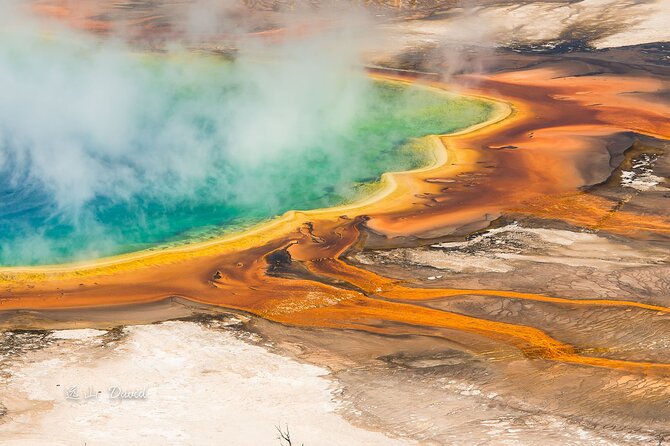 Full-Day Tour in Yellowstone National Park - Inclusions and Policies