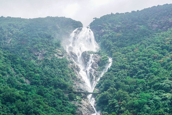 Full-Day Tour Old Goa Dudhsagar Falls and Spice Plantation - Booking and Logistics
