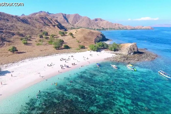 Full Day Tour to Komodo Island by Speed Boat to Explore 6 Destinations - Inclusions and Itinerary