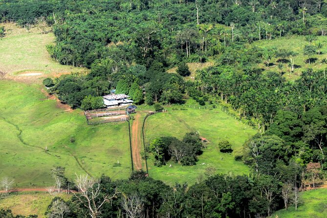 Full Day Tour to Rock Paintings in Cerro Azul Guaviare - Itinerary Details