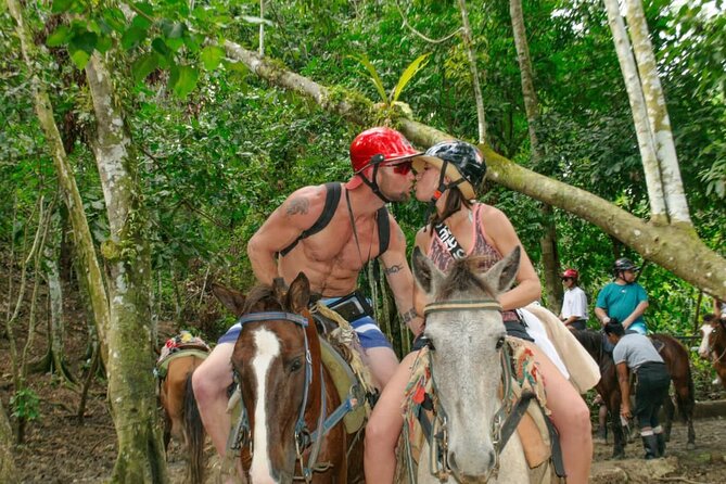 Full Day Tour to Samana From Punta Cana - Traveler Reviews and Ratings