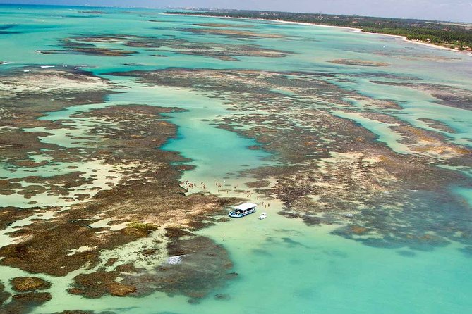 Full-Day Visit to Paripueira Beach and Tide Pools in Maceió - Booking Information