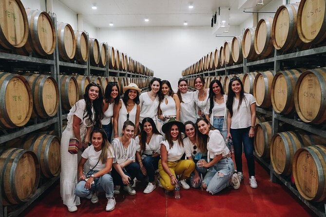 Full Day Visit to Vineyard and Premium Tasting in San Miguel - Tasting Experience