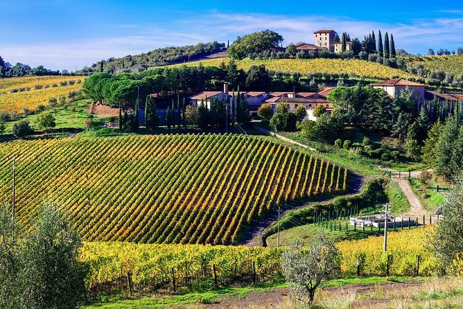 Full Day Wine Tour in Chianti From Florence or Siena - Departure Locations