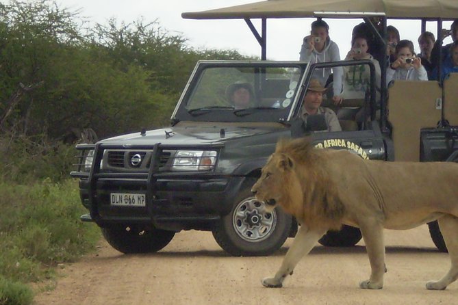 Fullday Gamedrives in Kruger National Park From Marlothpark - Date Availability and Ticket Information