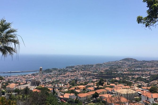 Funchal Private Transfers Service to Madeira Airport - Service Overview