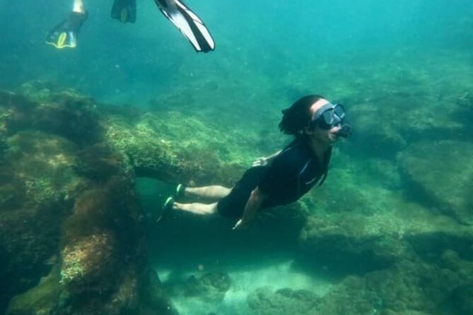 Galapagos Adventure: Explore 4 Islands in 7 Days - Wildlife Encounters