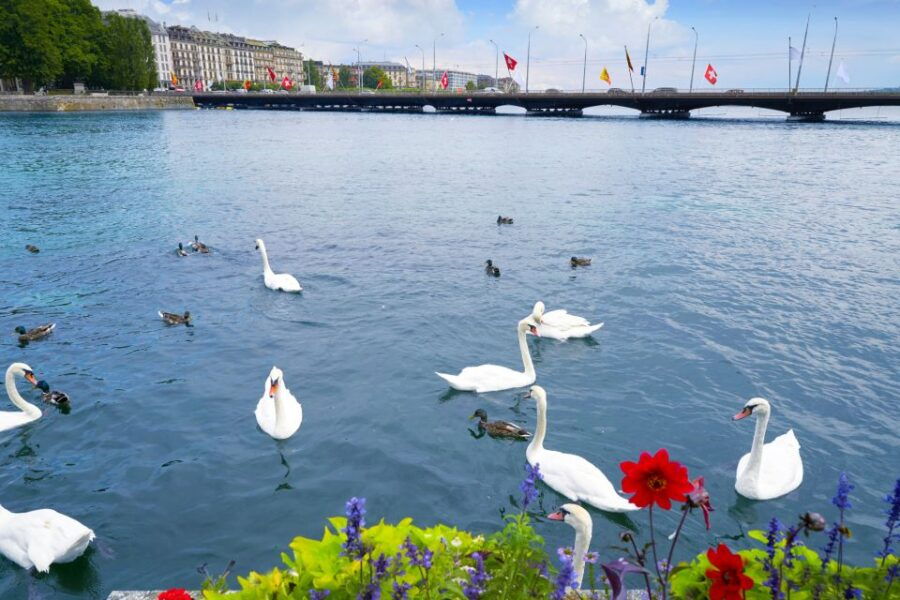 Geneva: First Discovery Walk and Reading Walking Tour