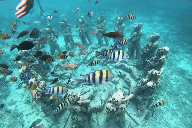 Gili Trawangan,Gili Meno& Gili Air Island:Snorkeling Day Trip Depart From Lombok - Snorkeling Spots: Exploring the Underwater Wonders
