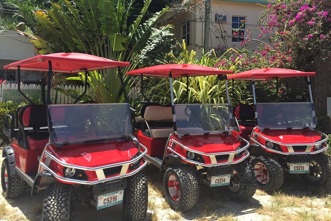 Golf Cart Rental by Group 3-4seater - Inclusions and Discounts Offered