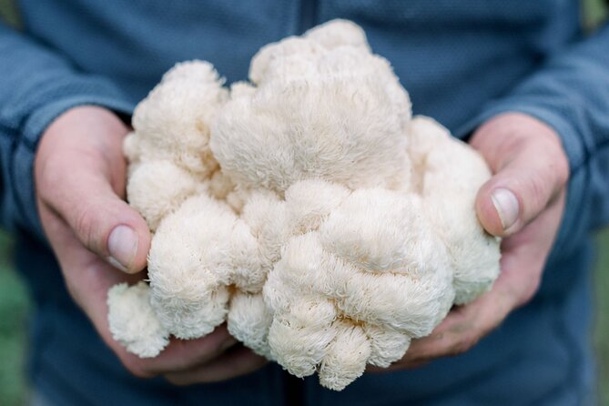 Gourmet Mushroom Farm Tour in Tennessee - Location Details