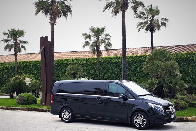 Grand Hotel Piazza Borsa to Palermo Airport, Private Transfer - Infant Seats and Service Animals