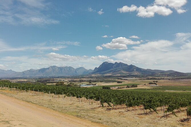 Greatest Private Tours of the Cape Winelands - Exclusive Wine Tasting Experiences