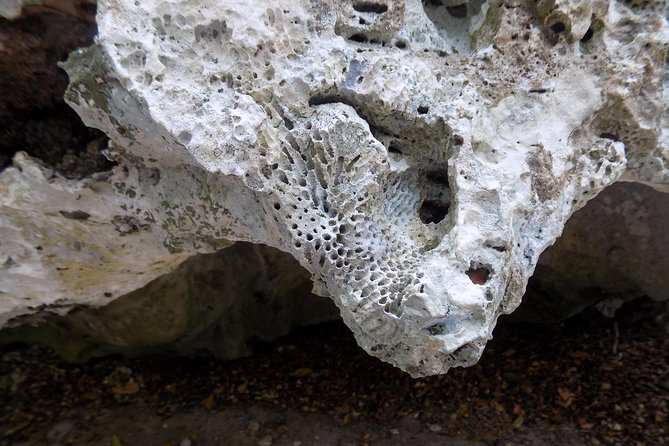 Green Grotto Excursion From Negril - What to Expect During the Excursion