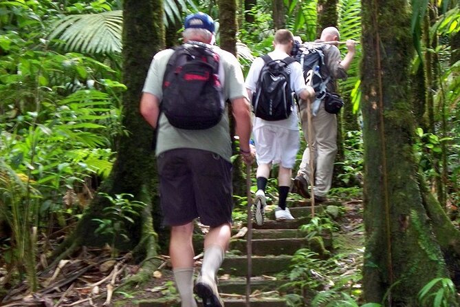Gros Piton Hike in St. Lucia (Private) - Booking Information