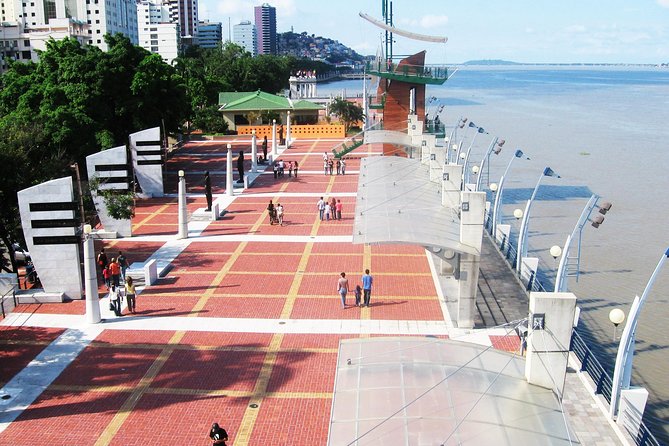Guayaquil Arrival Transfer - Vehicle Comfort and Amenities Provided