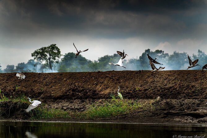 Guayaquil Private Half-Day Churute Eco Reserve Tour (Feb ) - Booking Information