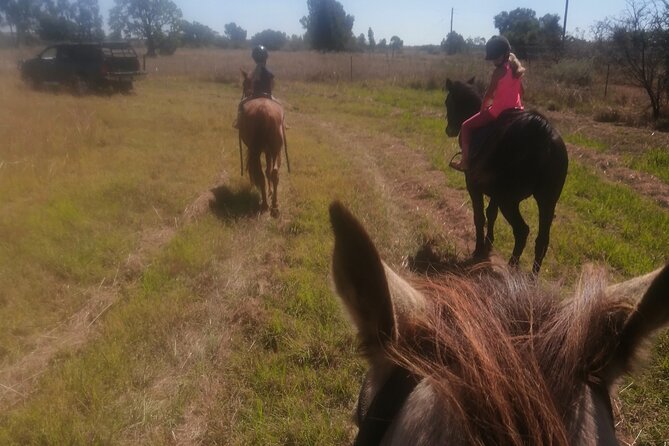 Guided 2 Hour Farm Horse Trail - Activity Duration and Meeting Point