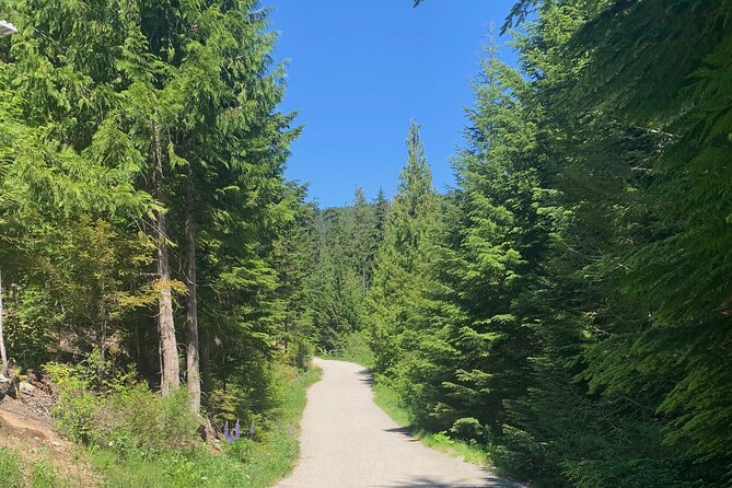 Guided Bike /E-bike Tour in Whistler From Vancouver - Whats Included