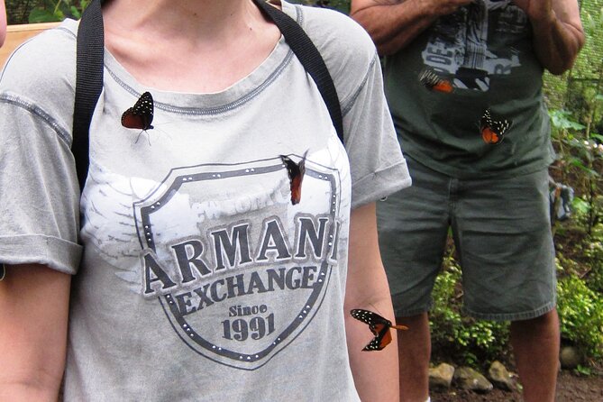 Guided Butterfly Conservatory Tour in Costa Rica - Logistics Information