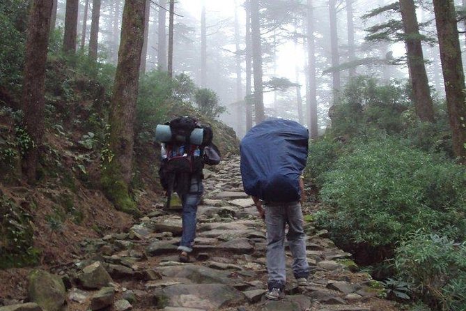 Guided Day Hike to Guna Devi Temple From Mcleodganj - Inclusions and Exclusions