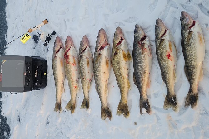 Guided Fishing Adventures in Castle Rock Lake - Meeting and Pickup Details