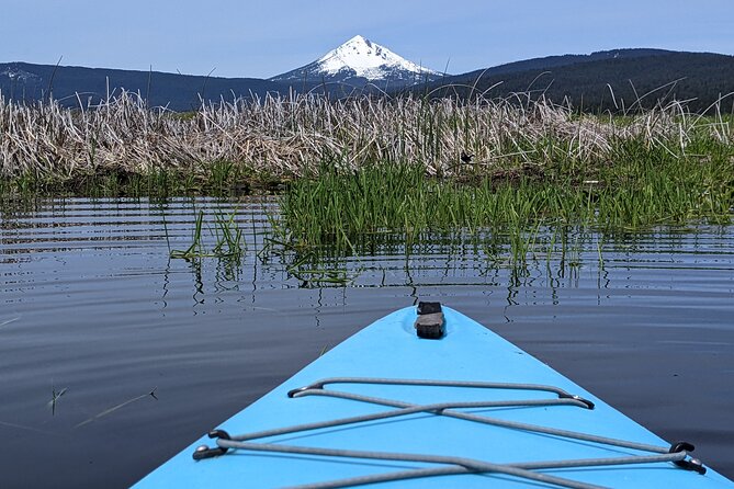 Guided Half-Day Kayak Tour - Traveler Requirements