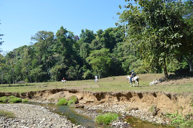Guided Horseback Riding Excursion in Manuel Antonio  - Quepos - Overview and Details