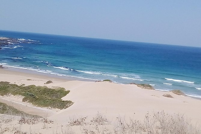 Guided Marine Walk: - Sardinia Bay (Marine Protected Area) - 3 Hours - Inclusions