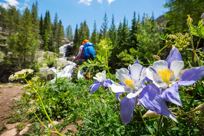 Guided Private Scenic Colorado Mountain Hike - Half Day - Customizable Hike Experiences