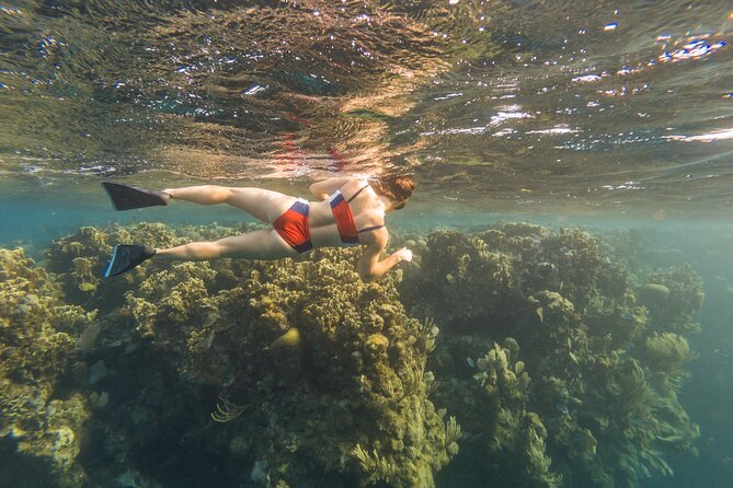 Guided Snorkeling Adventure in West Bay - Inclusions