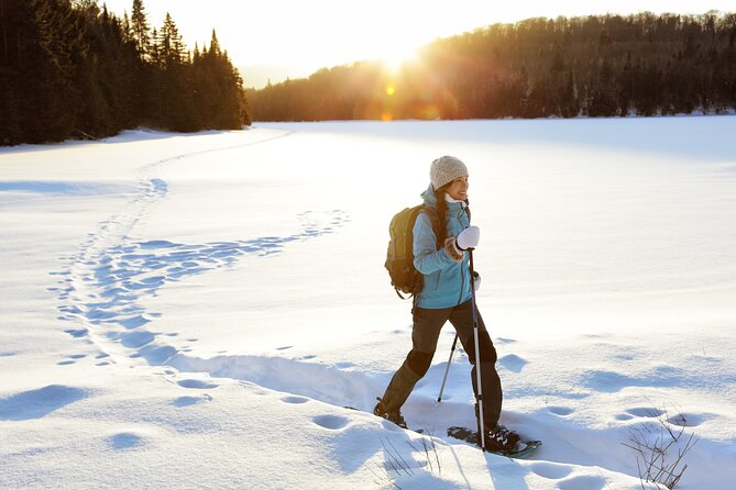 Guided Snowshoe Tour Near Breckenridge - Half Day, All Abilities - Tour Details and Expectations